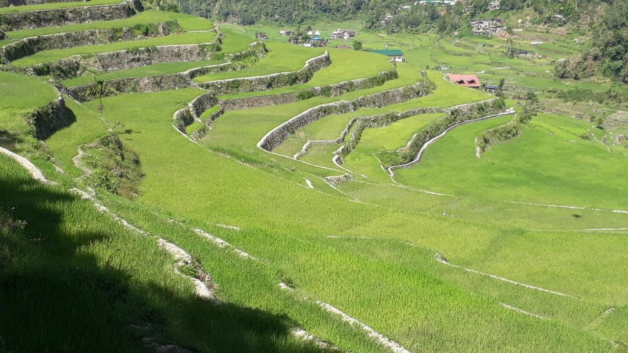 Lodge Baleh Boble Banaue
