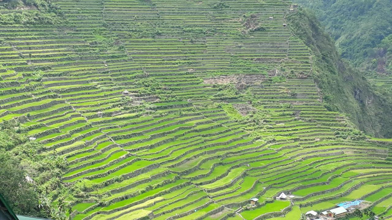 Lodge Baleh Boble Banaue